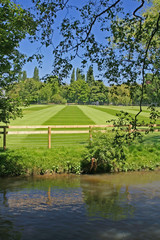 cricket pitch