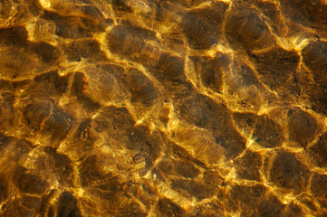 golden waves