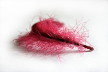 red feather