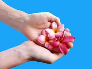 flowers on the palm