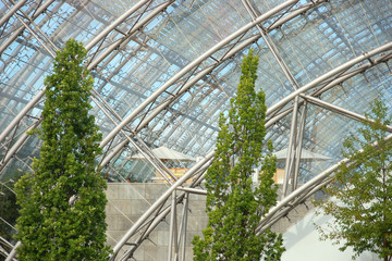 Fototapeta premium bäume for glasfassade