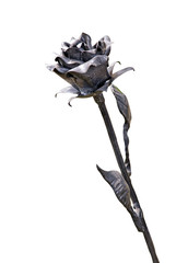 Naklejka premium metal rose