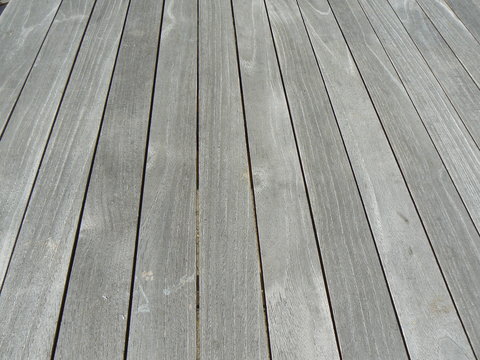 teak