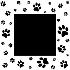 paws frame