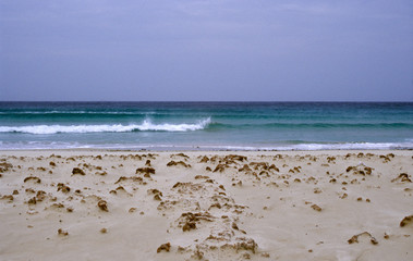 Fototapeta na wymiar lonely beach