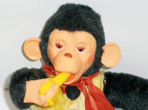 monkey and his banana