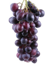 grapes