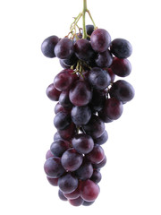 grapes