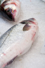 pescado en el mercado