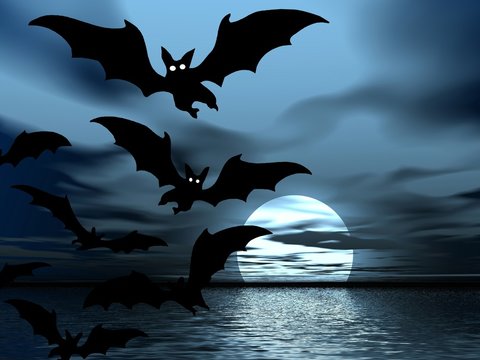 moon and bats