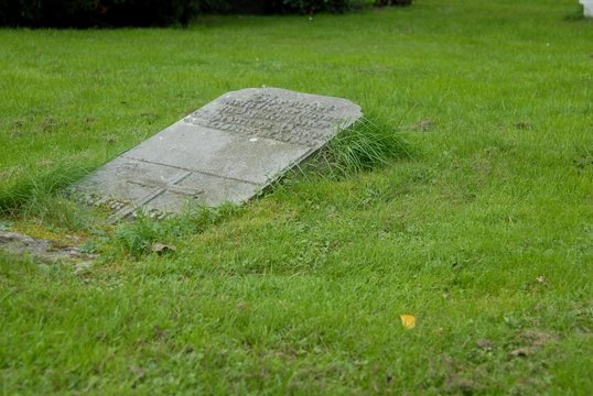 Wiesengrab Bilder Durchsuchen 10,014 Archivfotos, und