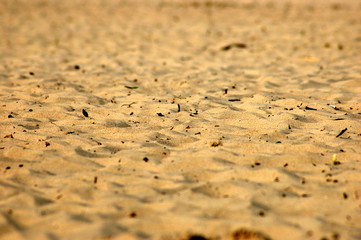 sand texture #9