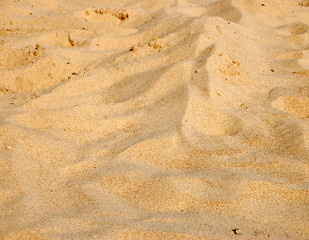 Fototapeta na wymiar sand texture #9