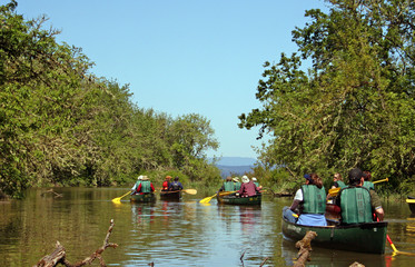 canoers on the water