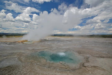 yellowstone geyser