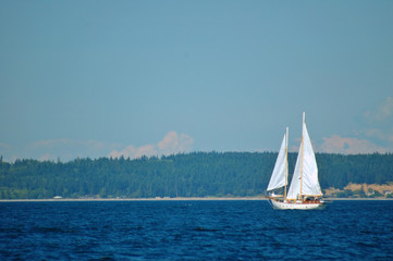 Fototapeta premium sailboat