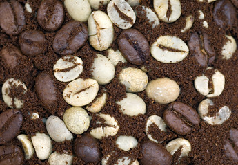 coffee bean textures