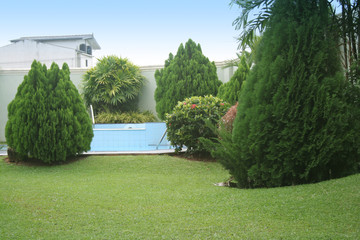 swimming pool