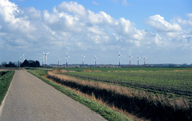 dutch wind farm