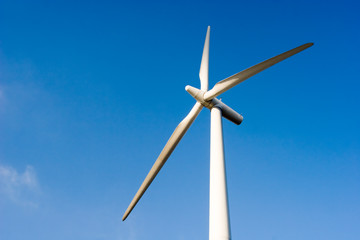 wind turbine