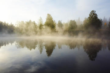 morning mist