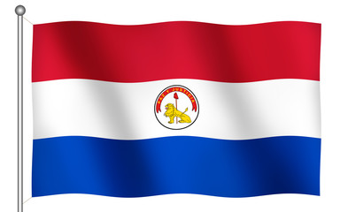 flag of paraguay waving (reverse)