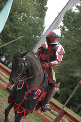 renaissance festival 4