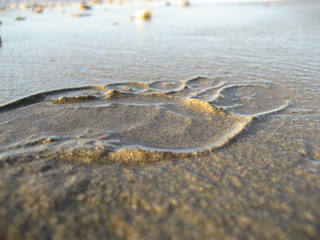 Fototapeta na wymiar fussabdruck im sand