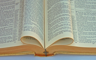 Obraz premium bible