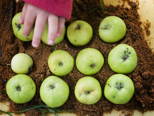 apple pie