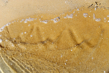 www im sand