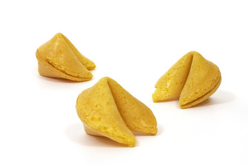fortune cookies 4