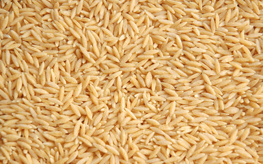 rice grains