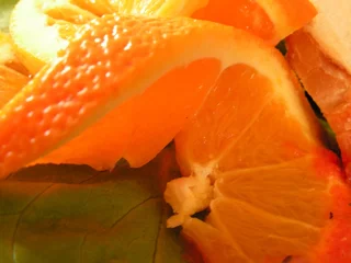 Papier Peint photo Tranches de fruits grosse tranche d& 39 orange