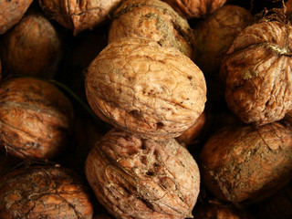 walnuts close-up