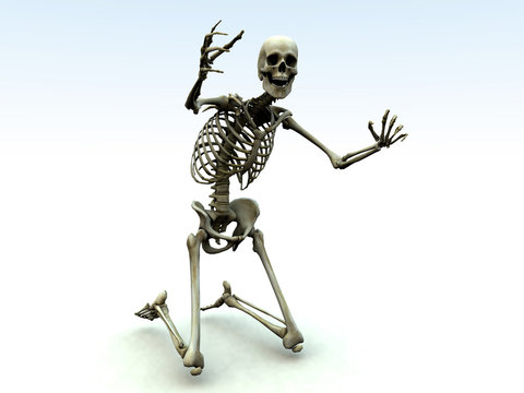 skelton 32