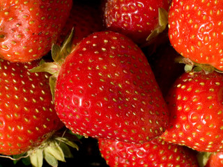 erdbeeren