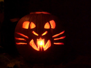 jack o' lantern pumpkin cat for halloween