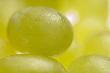 grapes