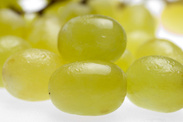 grapes