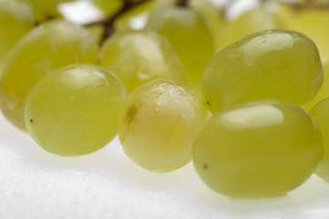 grapes