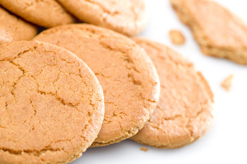 ginger biscuits