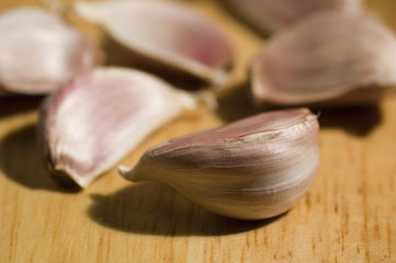 garlic