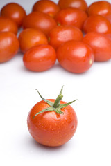 vine ripened tomato