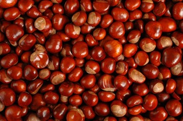 chestnuts