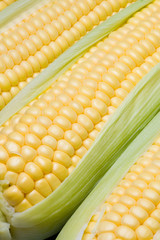 corn on the cob