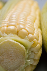 corn on the cob © Reidos