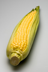 corn on the cob © Reidos