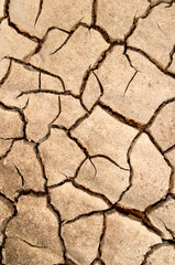 dry mud cracks texture