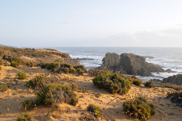 sand dunes at sunset on the atlantic ocean coast